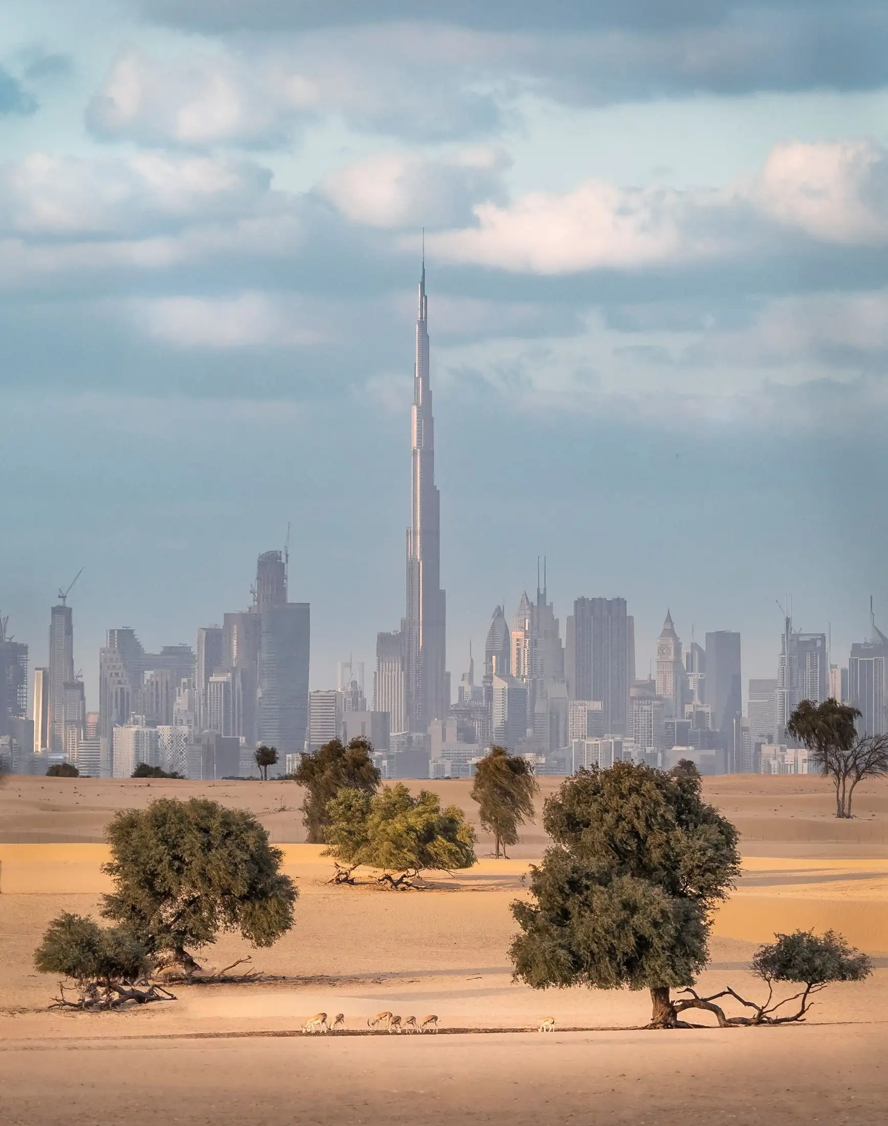 برج خليفة وأفق دبي من الصحراء