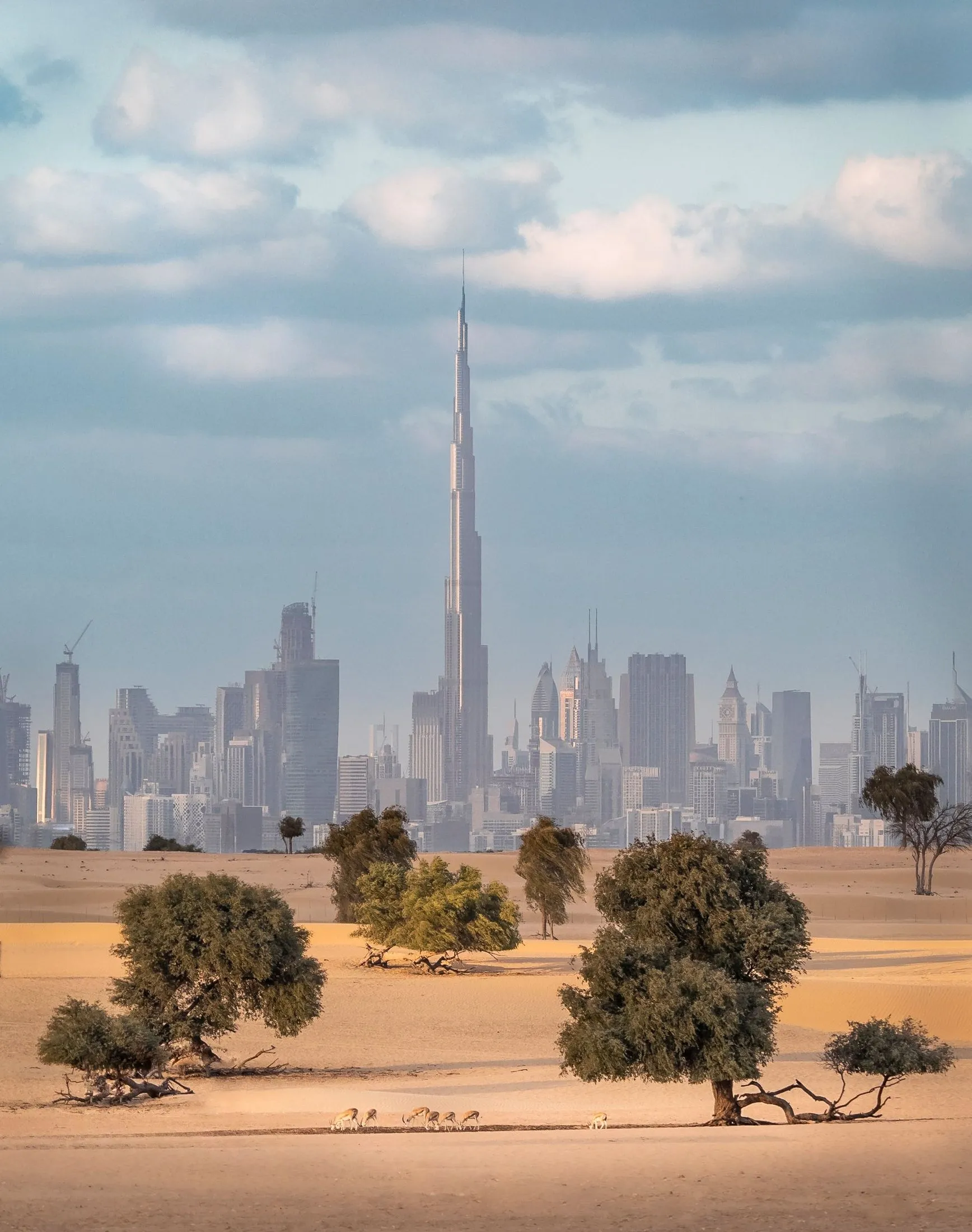 برج خليفة وأفق دبي من الصحراء